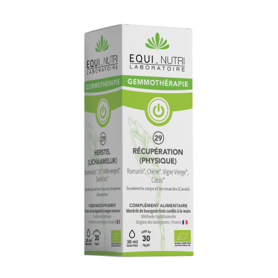 No. 29 PHYSICAL RECOVERY