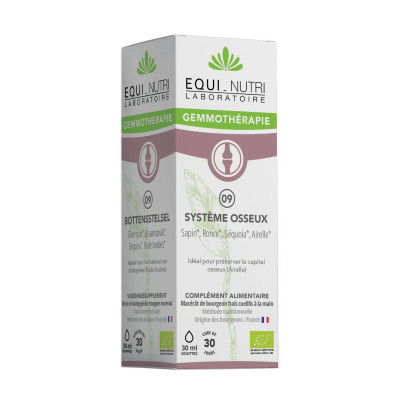 N°09 Skeletal System